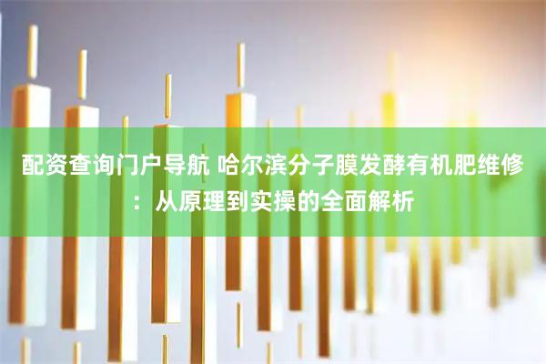 配资查询门户导航 哈尔滨分子膜发酵有机肥维修：从原理到实操的全面解析